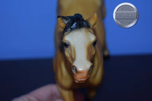 Load image into Gallery viewer, Diablo-Buckskin Mustang-Semi Rearing Mustang-Breyer Traditional