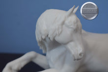 Load image into Gallery viewer, Lying Down Horse-3D Printed?-Unpainted Model-Approximately 1:12 Scale