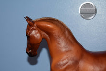 Load image into Gallery viewer, Flaxen Chestnut Roemer #2-Roemer Mold-Breyer Traditional