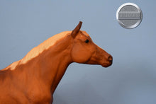 Load image into Gallery viewer, Morganglanz-Vintage Box-Morganglanz Mold-Breyer Traditional