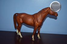 Load image into Gallery viewer, Chestnut Trakehner-Trakehner Mold-Breyer Traditional
