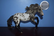 Load image into Gallery viewer, Shelby-Appaloosa Version-Nokota Mold-Breyer Traditional