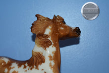 Load image into Gallery viewer, Sandman-Vintage Club Exclusive-Smoky Mold-Breyer Traditional