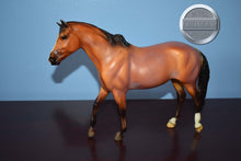 Load image into Gallery viewer, Kentucky-San Domingo Mold-Breyer Traditional