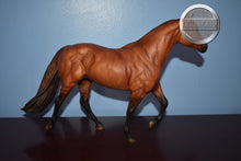 Load image into Gallery viewer, Guy McLean's Nugget-Stock Horse Stallion Mold-Breyer Traditional