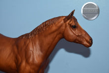 Load image into Gallery viewer, Chestnut Trakehner-Trakehner Mold-Breyer Traditional