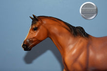 Load image into Gallery viewer, Kentucky-San Domingo Mold-Breyer Traditional