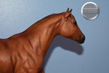 Load image into Gallery viewer, Guy McLean's Nugget-Stock Horse Stallion Mold-Breyer Traditional
