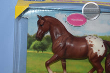 Load image into Gallery viewer, Chestnut Appaloosa-Warmblood Stallion Mold-New in Box-Breyer Classic
