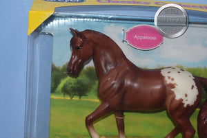 Chestnut Appaloosa-Warmblood Stallion Mold-New in Box-Breyer Classic