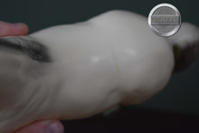 Load image into Gallery viewer, Alabaster Arabian-Proud Arabian Mare Mold-Breyer Traditional