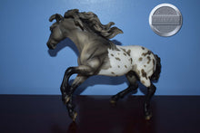 Load image into Gallery viewer, Shelby-Appaloosa Version-Nokota Mold-Breyer Traditional
