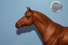 Load image into Gallery viewer, Chestnut Trakehner-Trakehner Mold-Breyer Traditional