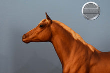 Load image into Gallery viewer, Morganglanz-Vintage Box-Morganglanz Mold-Breyer Traditional