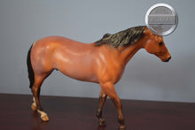 Load image into Gallery viewer, Kentucky-San Domingo Mold-Breyer Traditional