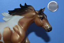 Load image into Gallery viewer, Buckskin White Paint-American Quarter Horse Mold-Breyer Classic