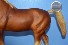 Load image into Gallery viewer, Morganglanz-Vintage Box-Morganglanz Mold-Breyer Traditional