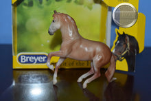 Load image into Gallery viewer, Rose Grey Valerio-With Box-Mini Alborozo Mold-Breyer Stablemate