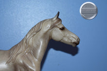 Load image into Gallery viewer, Imperador-Breyerfest Exclusive-Mangalarga Marchador Mold-Breyer Traditional