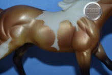 Load image into Gallery viewer, Buckskin White Paint-American Quarter Horse Mold-Breyer Classic