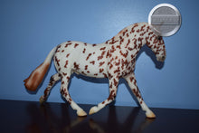 Load image into Gallery viewer, Appaloosa Rotating Draft Surprise-Matte-Breyerfest Exclusive-Cleveland Bey Mold-Breyer Traditional