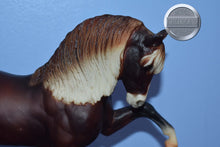 Load image into Gallery viewer, Promenade-Legionario Mold-Breyer Traditional