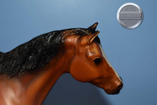Load image into Gallery viewer, Kentucky-San Domingo Mold-Breyer Traditional