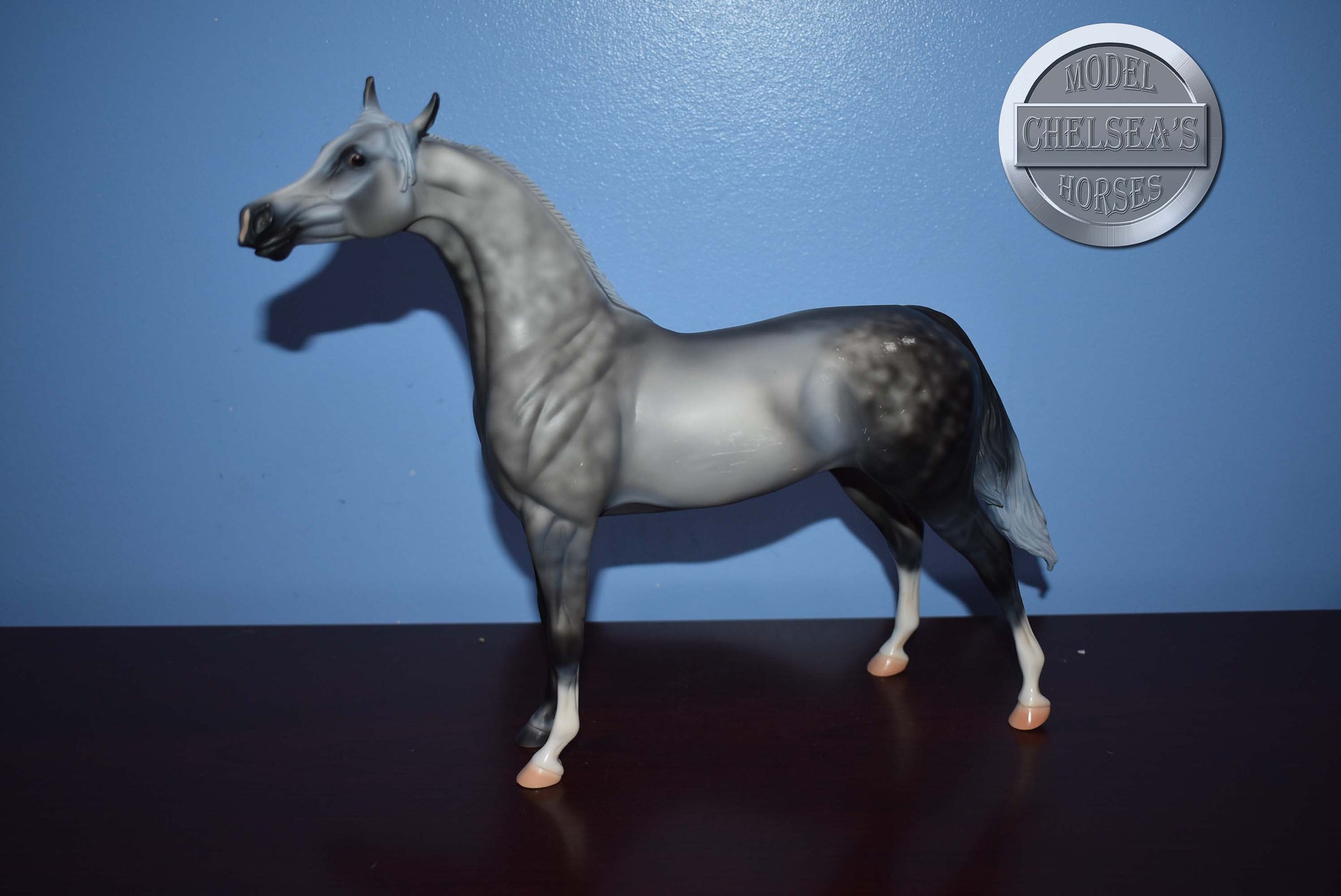 XFCM Dapple Grey Arabian (Unknown Name)-OOAK?-Arabian Mold-Peter Stone