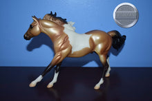 Load image into Gallery viewer, Buckskin White Paint-American Quarter Horse Mold-Breyer Classic