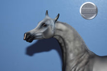 Load image into Gallery viewer, XFCM Dapple Grey Arabian (Unknown Name)-OOAK?-Arabian Mold-Peter Stone