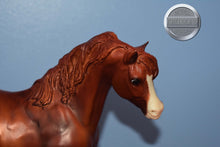 Load image into Gallery viewer, Jingles-Black Stallion Mold-Breyer Traditional