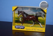 Load image into Gallery viewer, Darley-Arabian Mold-New in Box-Breyer Stablemate