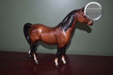 Load image into Gallery viewer, Mahogany Bay Arabian-Proud Arabian Mare Mold-Breyer Traditional