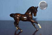 Load image into Gallery viewer, Bay Warmblood with Star from JCP Parade of Breeds-Warmblood Mold-Breyer Stablemate