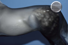 Load image into Gallery viewer, XFCM Dapple Grey Arabian (Unknown Name)-OOAK?-Arabian Mold-Peter Stone