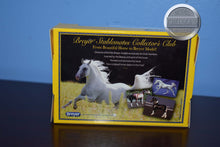 Load image into Gallery viewer, Darley-Arabian Mold-New in Box-Breyer Stablemate