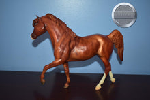 Load image into Gallery viewer, Jingles-Black Stallion Mold-Breyer Traditional