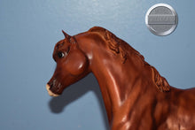 Load image into Gallery viewer, Jingles-Black Stallion Mold-Breyer Traditional