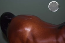 Load image into Gallery viewer, Mahogany Bay Arabian-Proud Arabian Mare Mold-Breyer Traditional