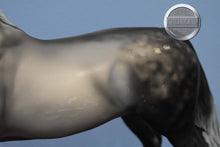 Load image into Gallery viewer, XFCM Dapple Grey Arabian (Unknown Name)-OOAK?-Arabian Mold-Peter Stone