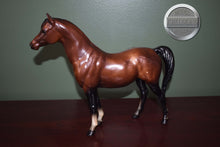 Load image into Gallery viewer, Mahogany Bay Arabian-Proud Arabian Mare Mold-Breyer Traditional