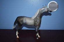 Load image into Gallery viewer, XFCM Dapple Grey Arabian (Unknown Name)-OOAK?-Arabian Mold-Peter Stone