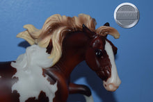 Load image into Gallery viewer, Shelby-Chestnut Pinto Paint Version-Nokota Mold-Breyer Traditional