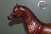 Load image into Gallery viewer, Mahogany Bay Arabian-Proud Arabian Mare Mold-Breyer Traditional