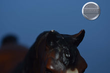Load image into Gallery viewer, Bay Arabian Mare-Family Arabian Mare Mold-Breyer Traditional