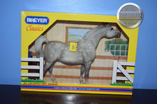 Load image into Gallery viewer, Dapple Grey Arabian-Damaged Box-Show Arabian Mold-New in Box-Breyer Classic