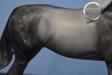 Load image into Gallery viewer, XFCM Dapple Grey Arabian (Unknown Name)-OOAK?-Arabian Mold-Peter Stone