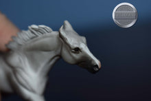 Load image into Gallery viewer, Shaded Light Grey-JAH Exclusive-Bent Ear-Thoroughbred Mold-Breyer Stablemate