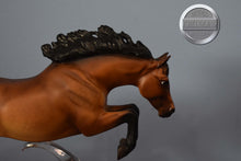 Load image into Gallery viewer, Loose Mane Best of British Connemara Pony-Newsworthy Mold-Breyer Traditional