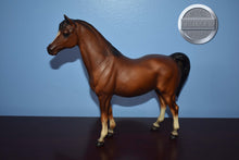 Load image into Gallery viewer, Bay Arabian Mare-Family Arabian Mare Mold-Breyer Traditional